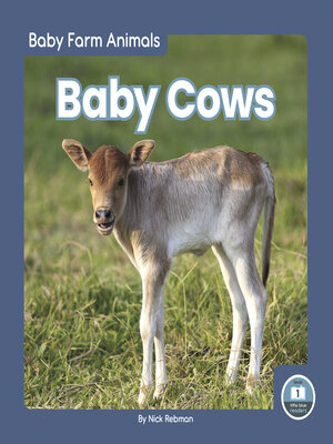 cover image of Baby Cows